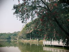 -东莞植物园