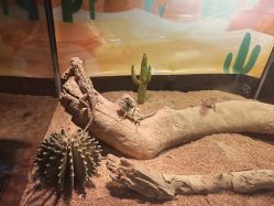 -酷嗒动物文化乐园(cutezoo西溪乐天城店)