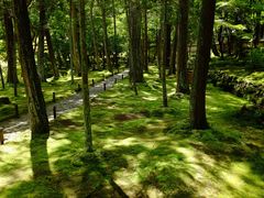 -西芳寺(苔寺)