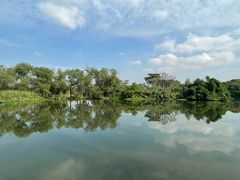 -西溪国家湿地公园