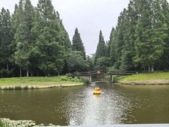 -黄海国家森林公园