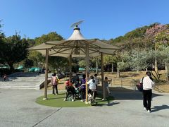 -飞凤山奥体公园