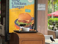 -新加坡水上探险乐园