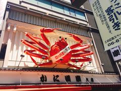 -蟹道乐(道顿堀本店)