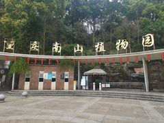-南山植物园