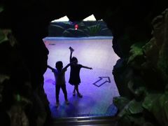 -上海昆虫博物馆