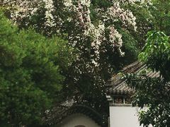 -深圳国际园林花卉博览园