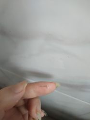 -SPICERY HOUSE芳香世家皮肤管理中心