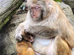 -普洱太阳河森林公园