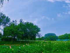 -东郊湿地公园
