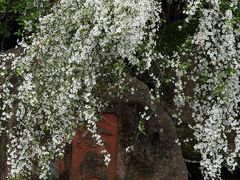 -中国茶叶博物馆(双峰馆区)