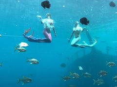 -瑞德姆美人鱼海底演艺主题餐厅(亚龙湾店)