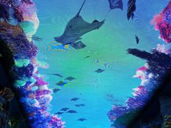 -珠海长隆海洋王国