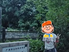 -晓港公园