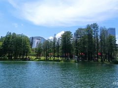 -四海公园(南山区)