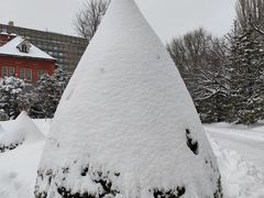 -北海道厅旧本厅舍(旧本庁舎)
