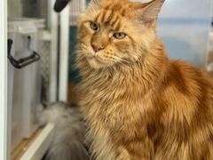 -平行世界·猫咖(首经贸店)