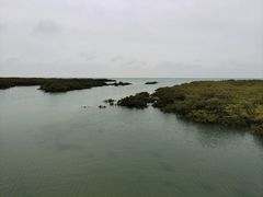 -北海金海湾红树林生态旅游区