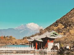 -黑龙潭公园