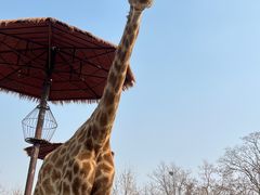 -济南野生动物世界