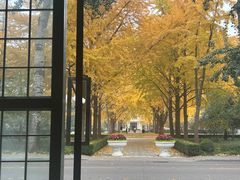 -北京理工大学(中关村校区)