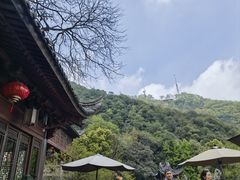 -韬光茶庵