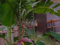 -Supine Bistro溯泮餐厅