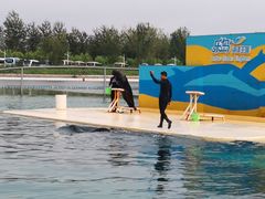 -秦皇岛乐岛海洋王国