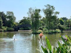 -张坝桂圆林公园