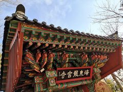-海东龙宫寺