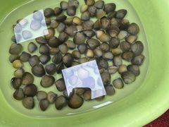 -肥弟大排档(汕樟路店)