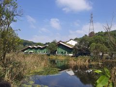 -西湖风景区-江洋畈生态公园