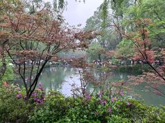 -岳麓山风景名胜区