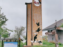 -盐城丹顶鹤湿地生态旅游区