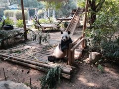 -深圳野生动物园