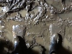 -中岜朗天坑(CV GEO INDO RAYA)