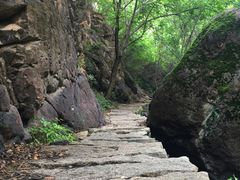 -云岫谷自然风景区