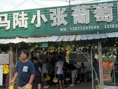 -马陆小张葡萄园农家乐