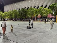 -深圳市体育中心体育馆主馆