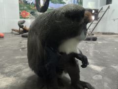 -西安秦岭野生动物园