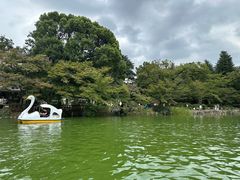 -井之头恩赐公园