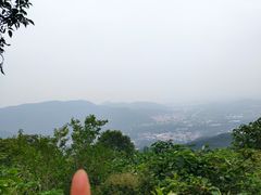 -北京西山国家森林公园