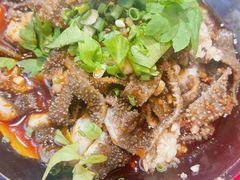 -冯烫烫跷脚牛肉·川菜小馆(武胜西街店)