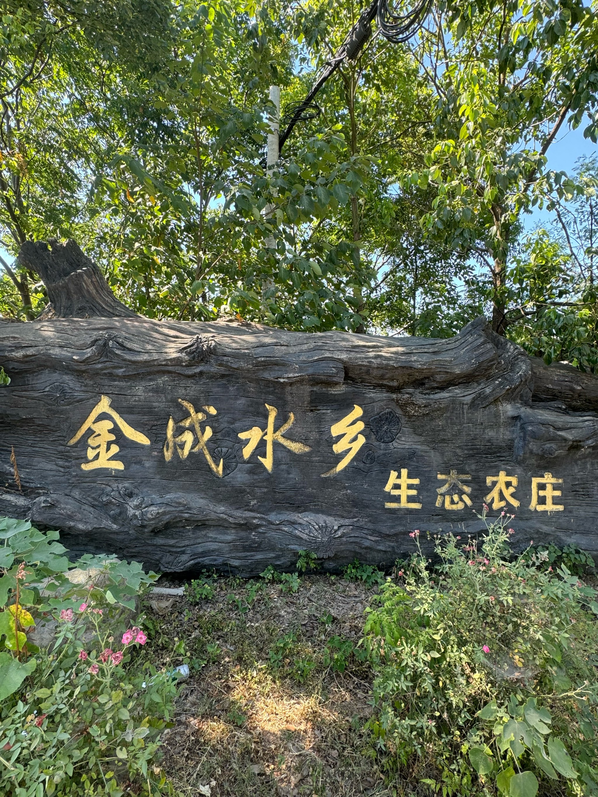 萍乡幕冲生态旅游基地图片