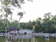 -莲湖公园