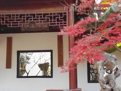 -汇龙潭
