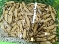 -和源祥·日照菜扛把子(万平口一店)