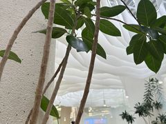 -大树餐厅(朝阳大悦城店)