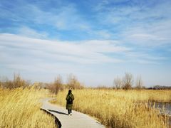 -野鸭湖国家湿地公园