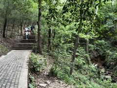 -紫金山天文台